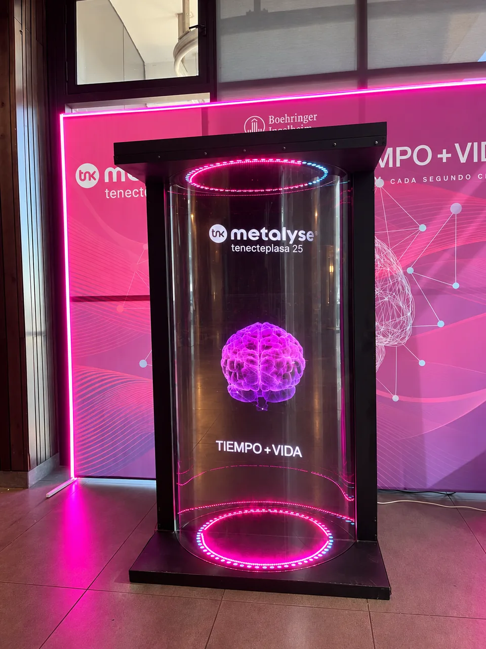 Tubo Holográfico con cerebro digital y contenido Metalyse, frente a un fondo magenta