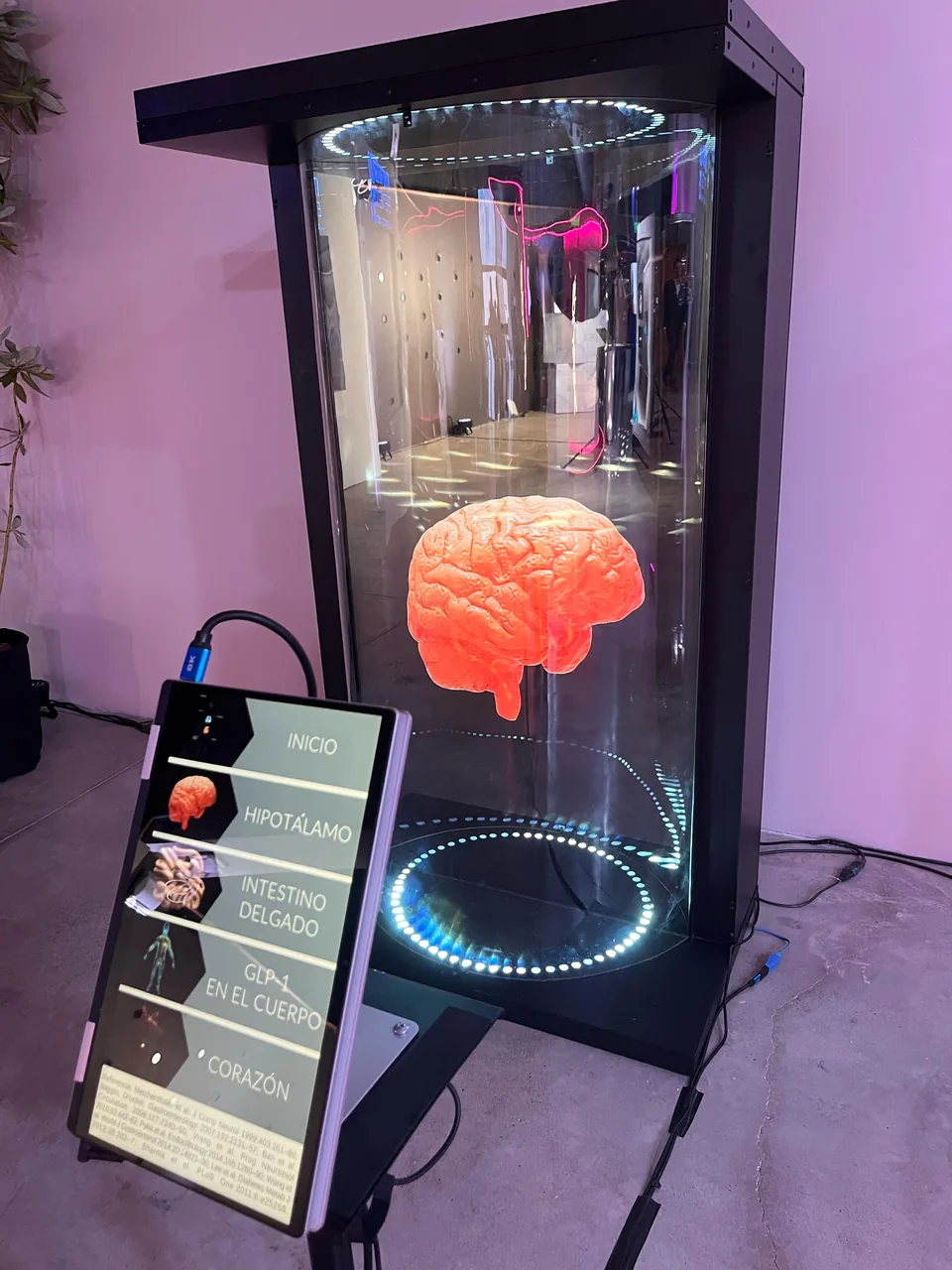 Tubo Holográfico mostrando un cerebro y una pantalla touch externa para seleccionar contenido